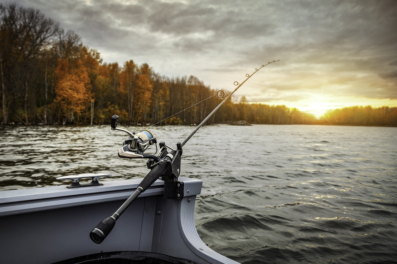 Did-You-Fish-fall-fishing