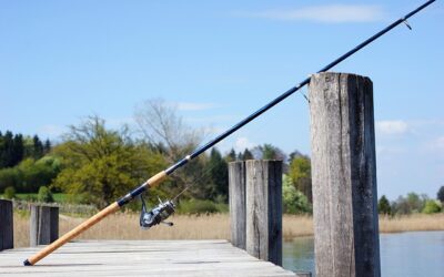 Why You’re Not Catching Fish in North Carolina