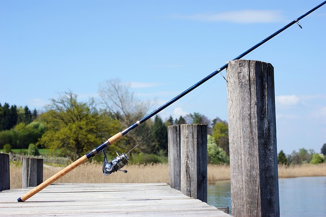 Why you are not catching fish in North Carolina and how to improve fishing success from shore or lake