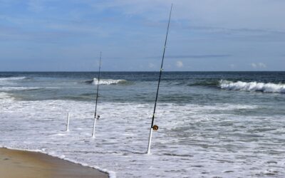 Surf Fishing in North Carolina