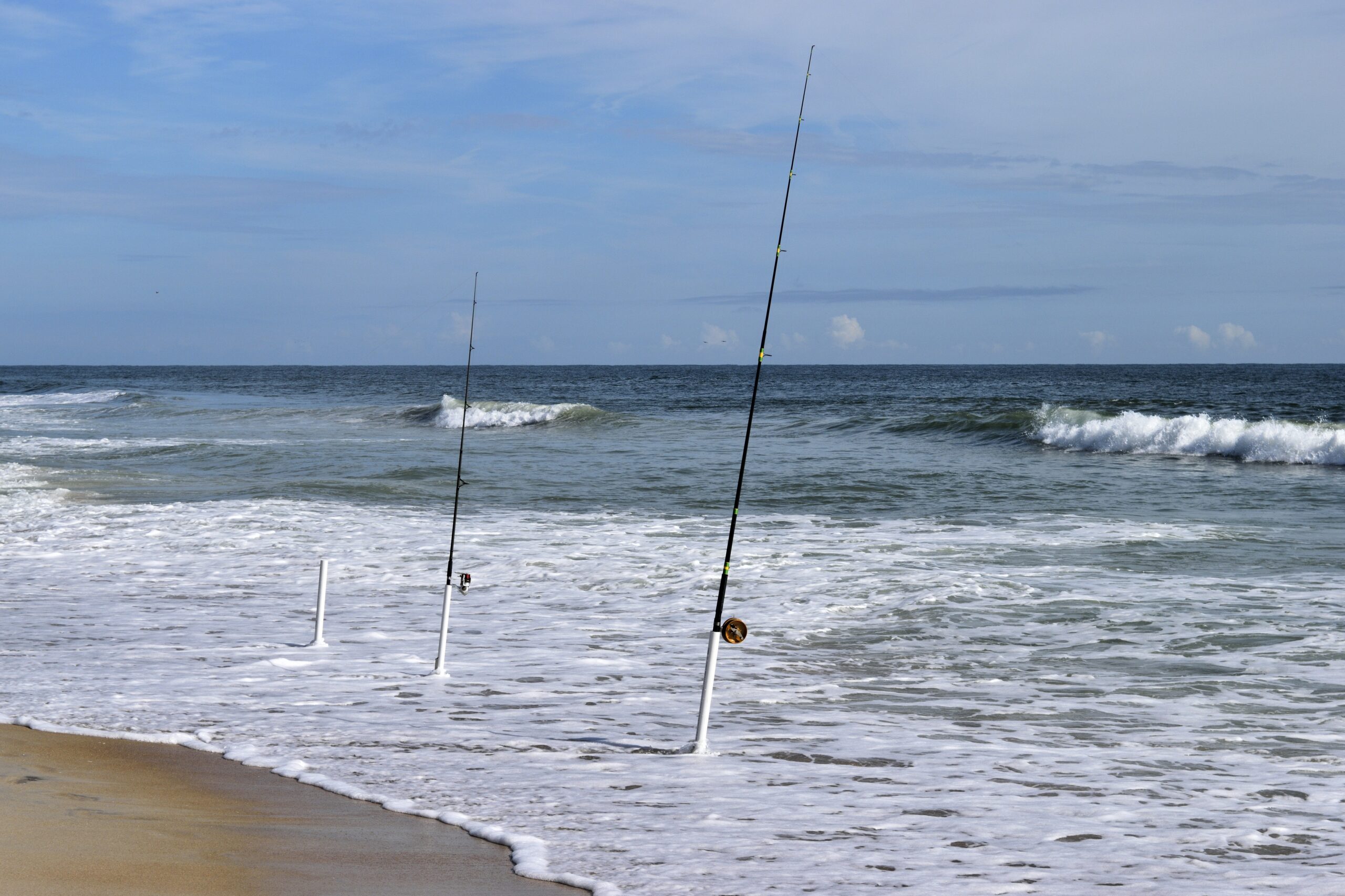 Surf fishing in North Carolina catching red drum and bluefish from the beach