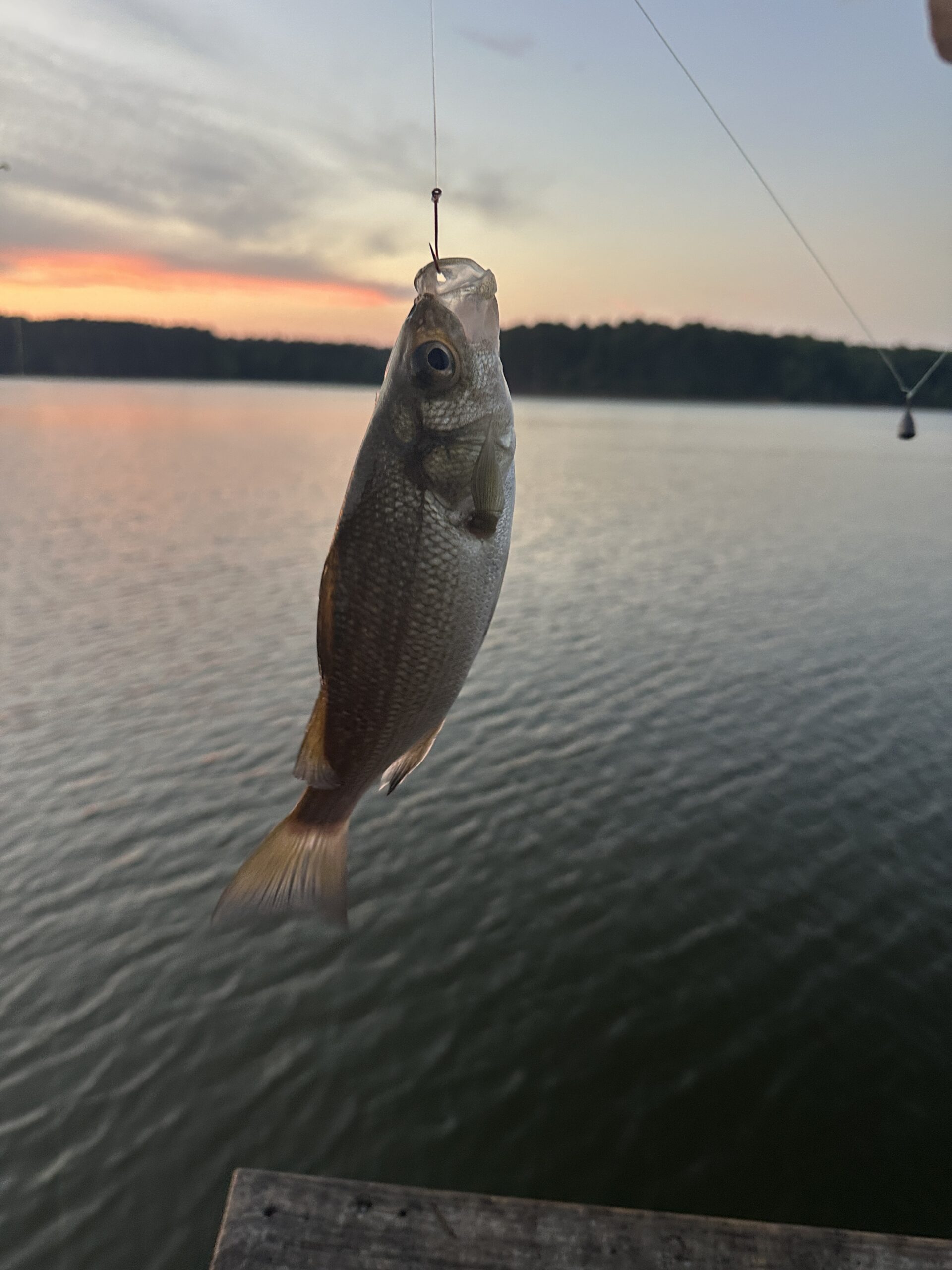 fishing at falls lake nc