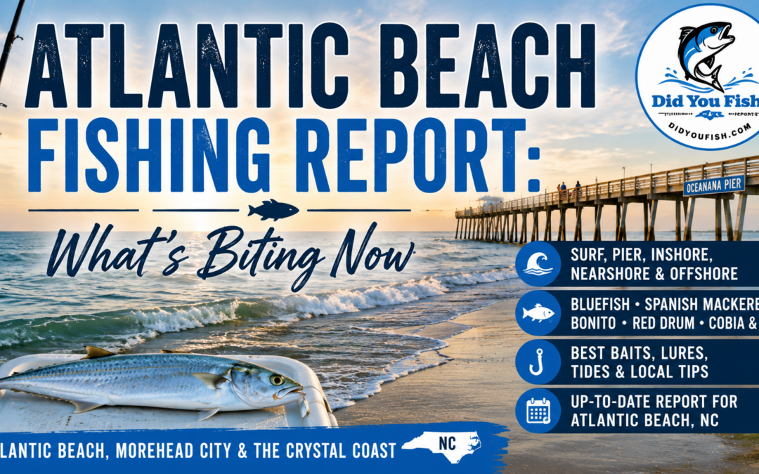 Atlantic Beach Fishing Report: What’s Biting Now