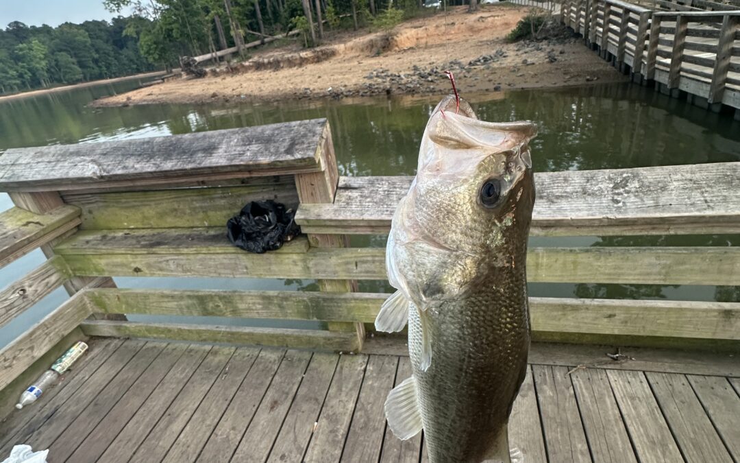 Beaver Creek PFA Fishing Trip: A Slow Start and a Big Bass Finish