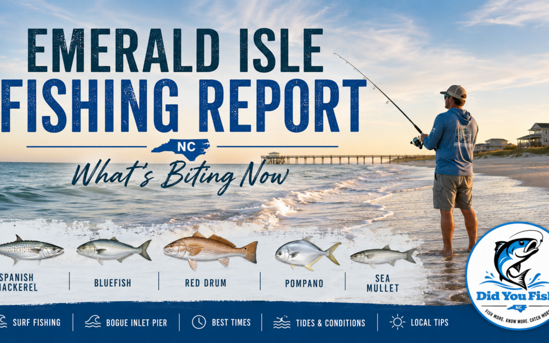 Emerald Isle Fishing Report: What’s Biting Now