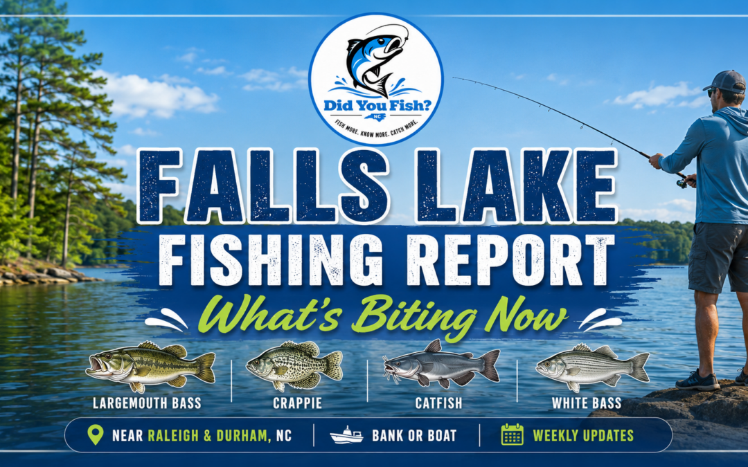 Falls Lake Fishing Report: What’s Biting Now