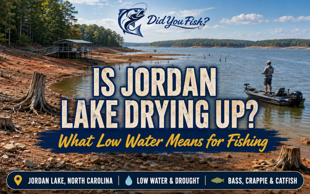 Is Jordan Lake Drying Up? What Low Water Means for Fishing