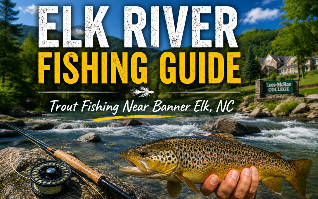 Elk River fishing guide featuring a brown trout and mountain stream near Banner Elk, North Carolina