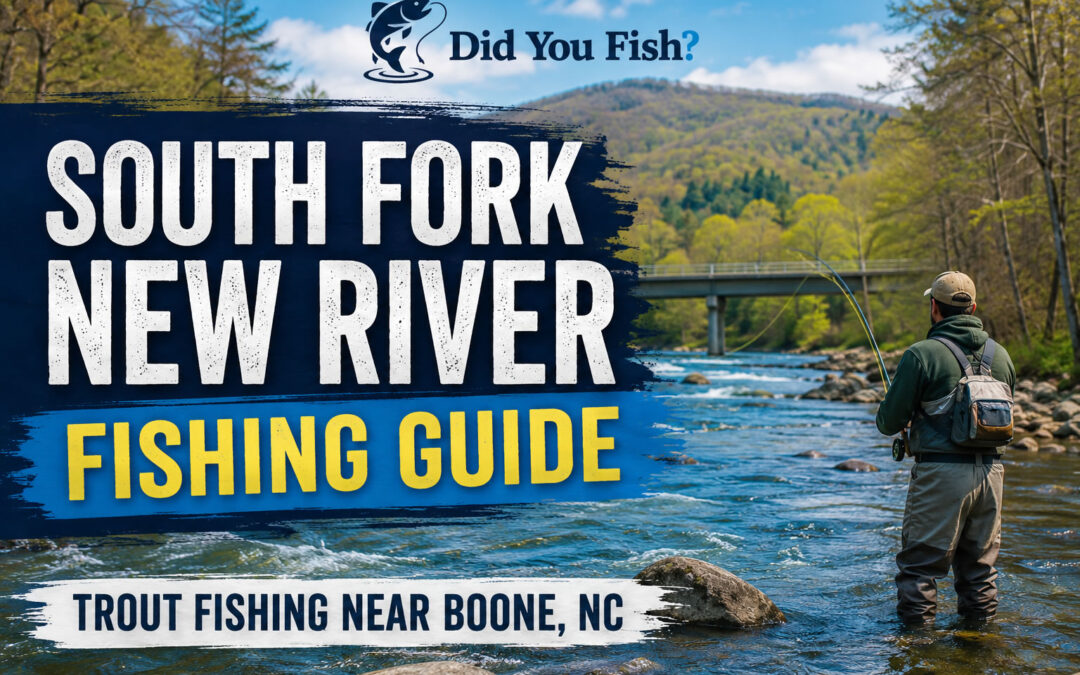 South Fork New River Trout Fishing Guide